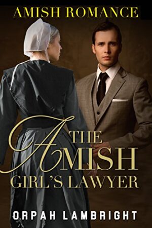 The Amish Girl's Lawyer