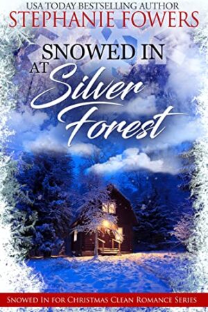 Snowed in at Silver Forest